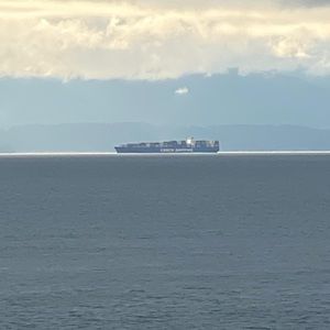 Meet your Posher, Josie